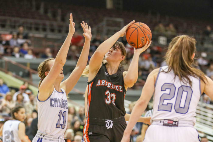 Idaho Girl's 2A State Championship - Aberdeen v Cole Valley - Photo by Loren Orr Photography LLC/LorrenOrr.com
